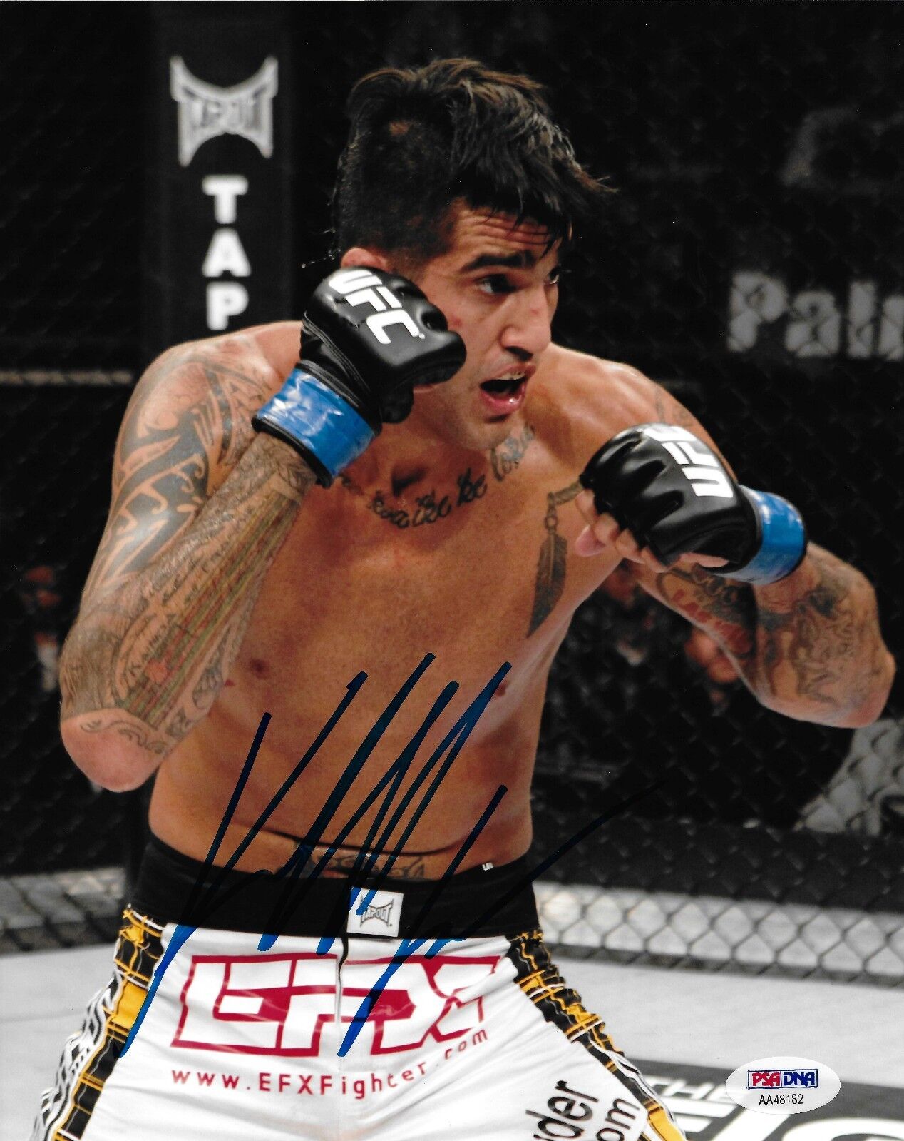 Kendall Grove Signed UFC 8x10 Photo Poster painting PSA/DNA COA Picture Autograph TUF 3 69 96 80