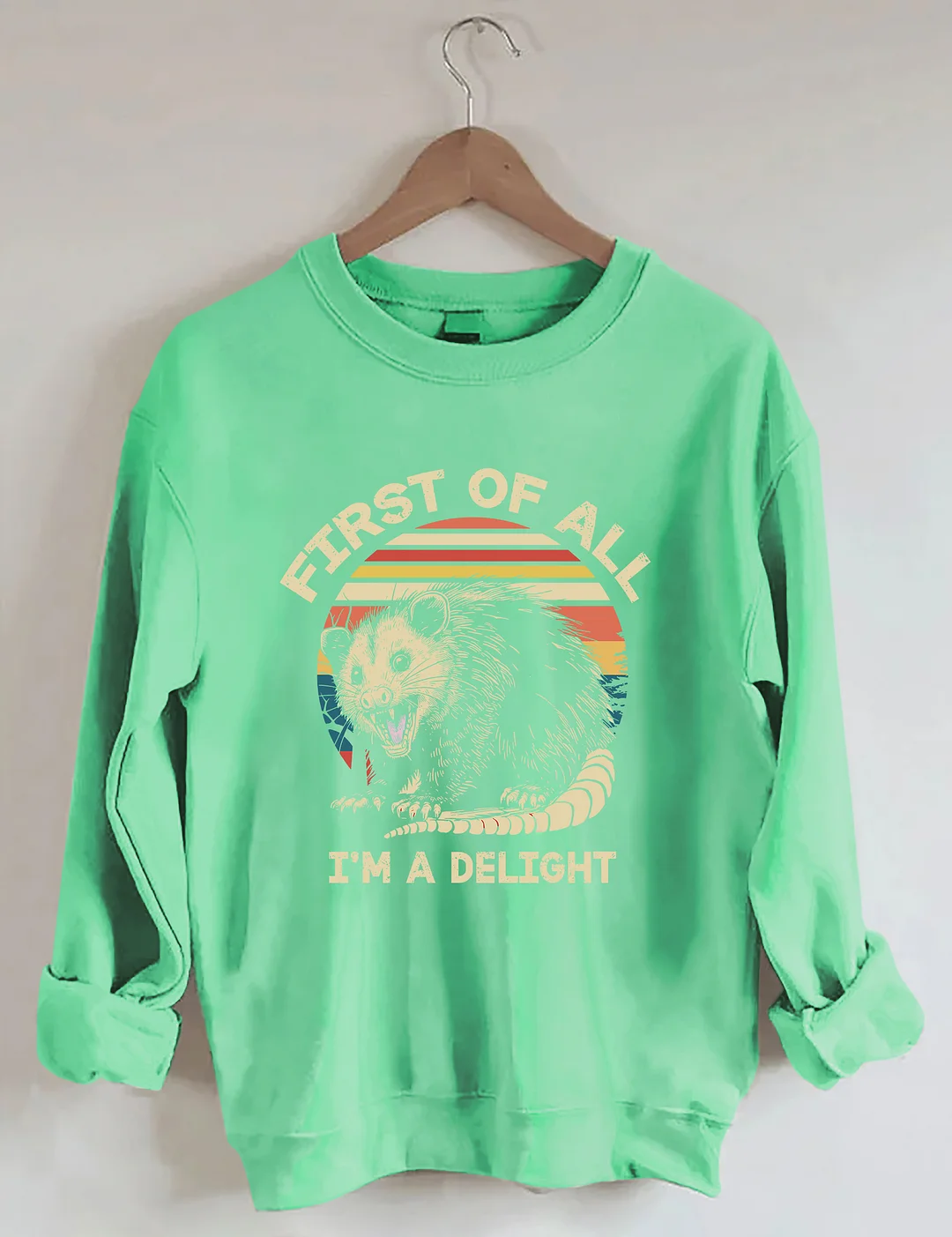 First Of All I'm A Delight Sarcastic Angry Opossum Lover Sweatshirt