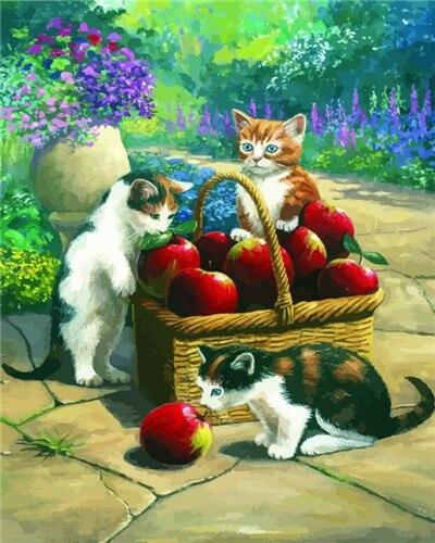 

Cats and Basket of Apples – Paint By Numbers - 40*50CM, 501 Original