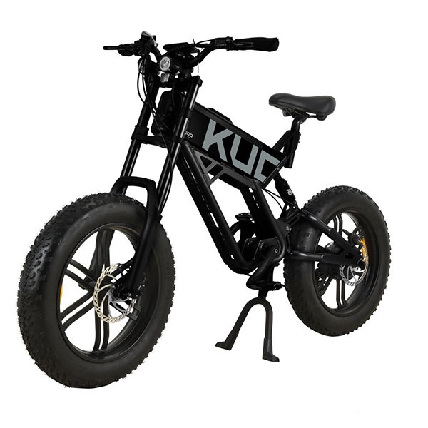 KUGOO T01 Electric Bike 48V 500W Motor 13Ah Battery 20*4.0 Inch Fat ...