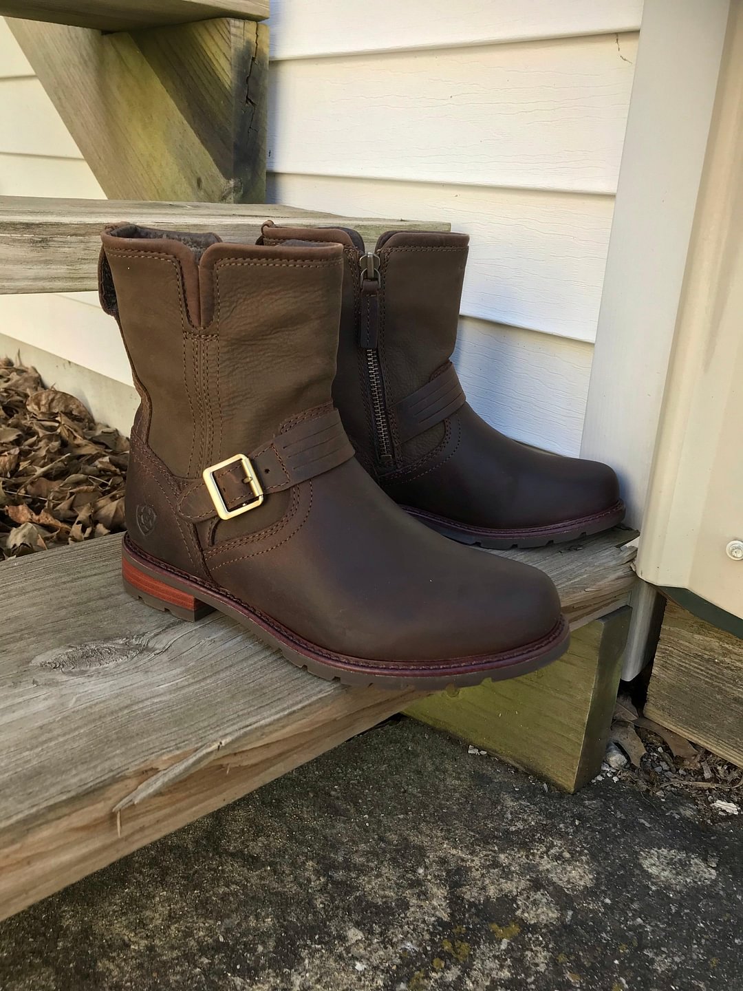 Ariat Women's Savannah Waterproof Chocolate/Willow 10029548