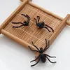 Boucles d'oreilles araign&eacute;e gothique d'Halloween