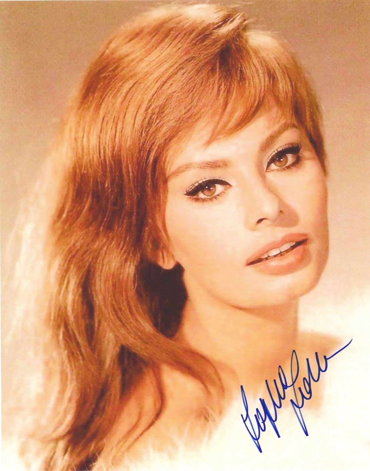 Sophia Loren Autographed 8x10 Photo Poster painting