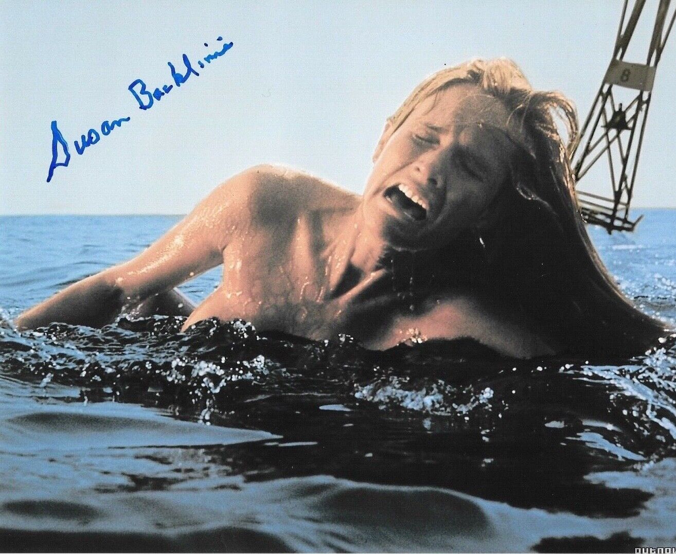 * SUSAN BACKLINIE * signed 8x10 Photo Poster painting * JAWS CRISSIE * PROOF * COA * 1