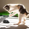 Remote control mouse toy, remote control electronic mouse flocked mouse toy interactive cat toy, suitable for cats, dogs, pets, moves like a real mouse