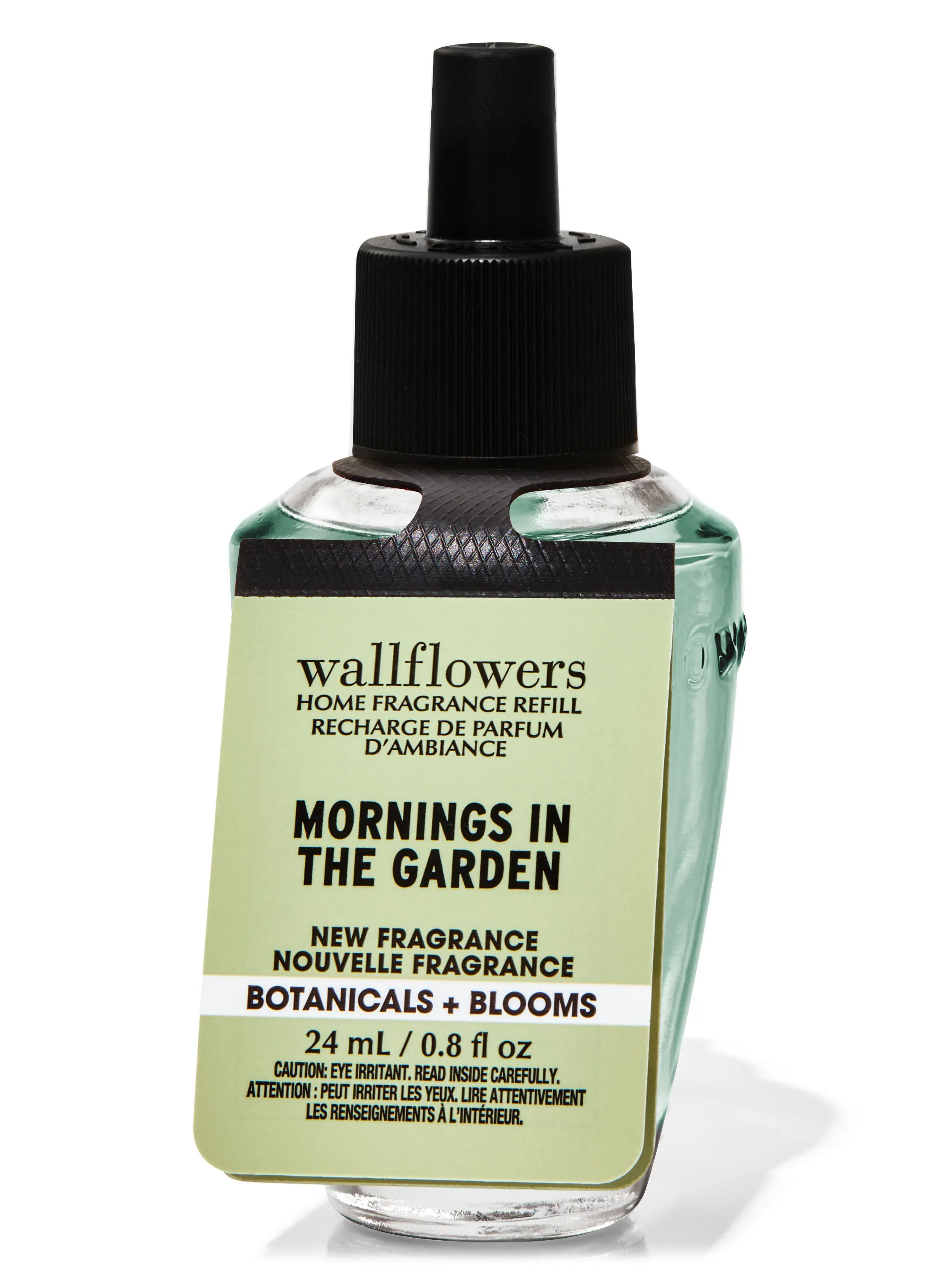 Mornings In The Garden