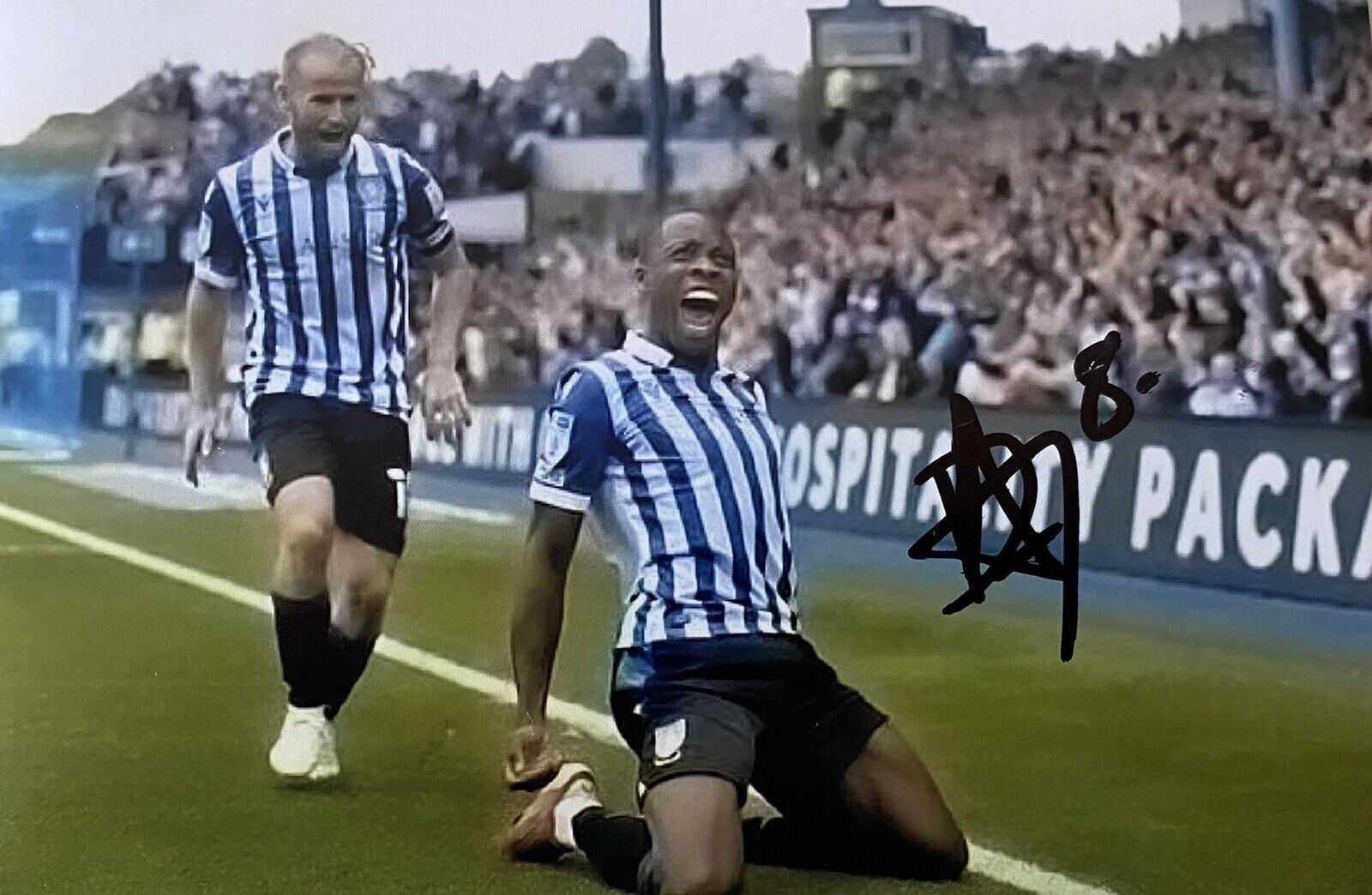 Dennis Adeniran Genuine Hand Signed Sheffield Wednesday 6X4 Photo Poster painting 2