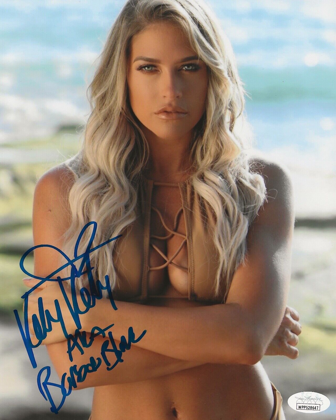 KELLY KELLY Signed 8x10 SEXY Photo Poster painting BARBIE BLANK WWE Autograph JSA COA Witness