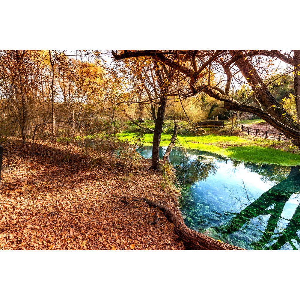 

Narrow Creeks Landscape - 1000 Pieces Jigsaw Puzzle, 501 Original