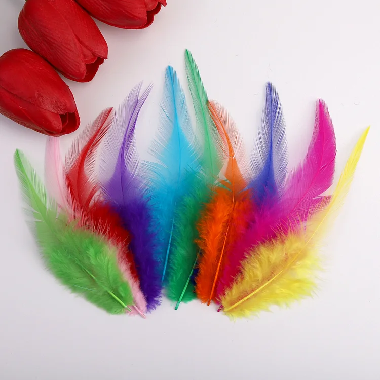 Feathers for Dream Catcher 100 Pcs F02