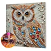 Framed Diamond Painting - Special Shaped - Owl(25x25cm)