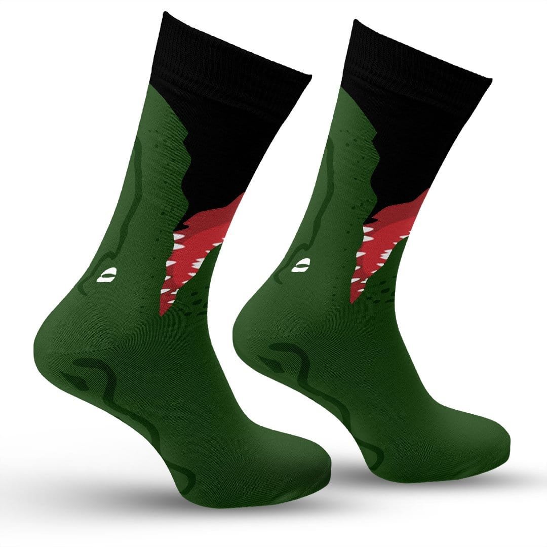 Crocodile Socks