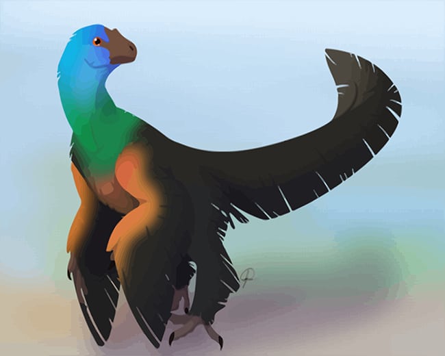 

Caihong Juji – Paint By Numbers - 40*50CM, 501 Original