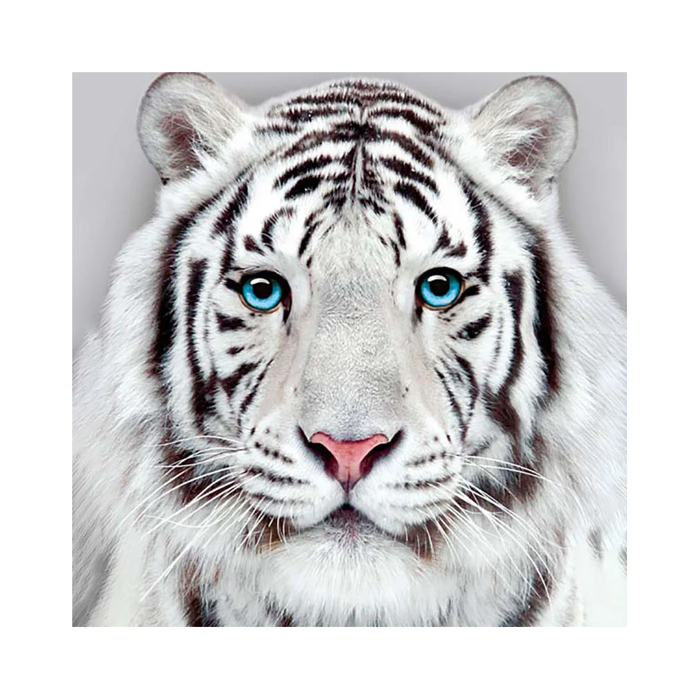 : DIY Diamond Painting,Black White Tiger Diamond