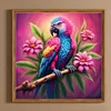Diamond Painting-DIY Full Round Drill Parrot