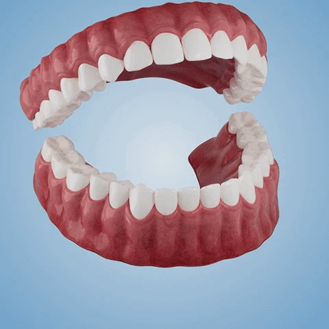 NESLEMY&trade;-🦷Advanced Customized Full Denture Set🦷 (⏰Limited time discount last 30 minutes⏰)
