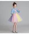 Kid Baby Girls Unicorn Party Rainbow Fancy Flower Dress