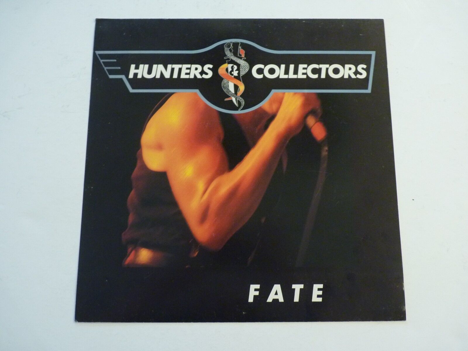 Hunters & Collectors FATE Promo LP Record Photo Poster painting Flat 12x12 Poster