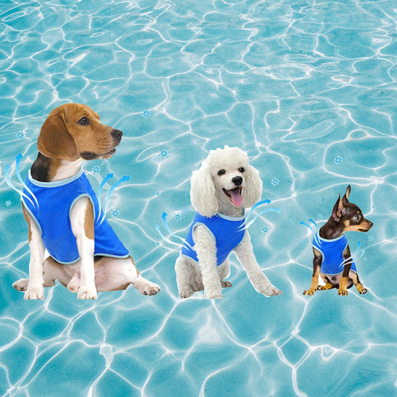 petnoo.comSummer Dog Cooling Vestshopify