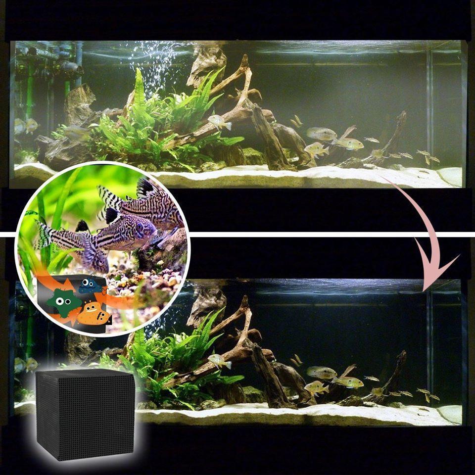 EcoAquarium Water Purifier Cube