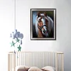 Cheval - Compl&egrave;te Rond Peinture au Diamant  30*40cm