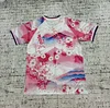 2025 Japan Special Edition Pink Mount Fuji cherry blossoms Football Shirt 1:1 Thai Quality