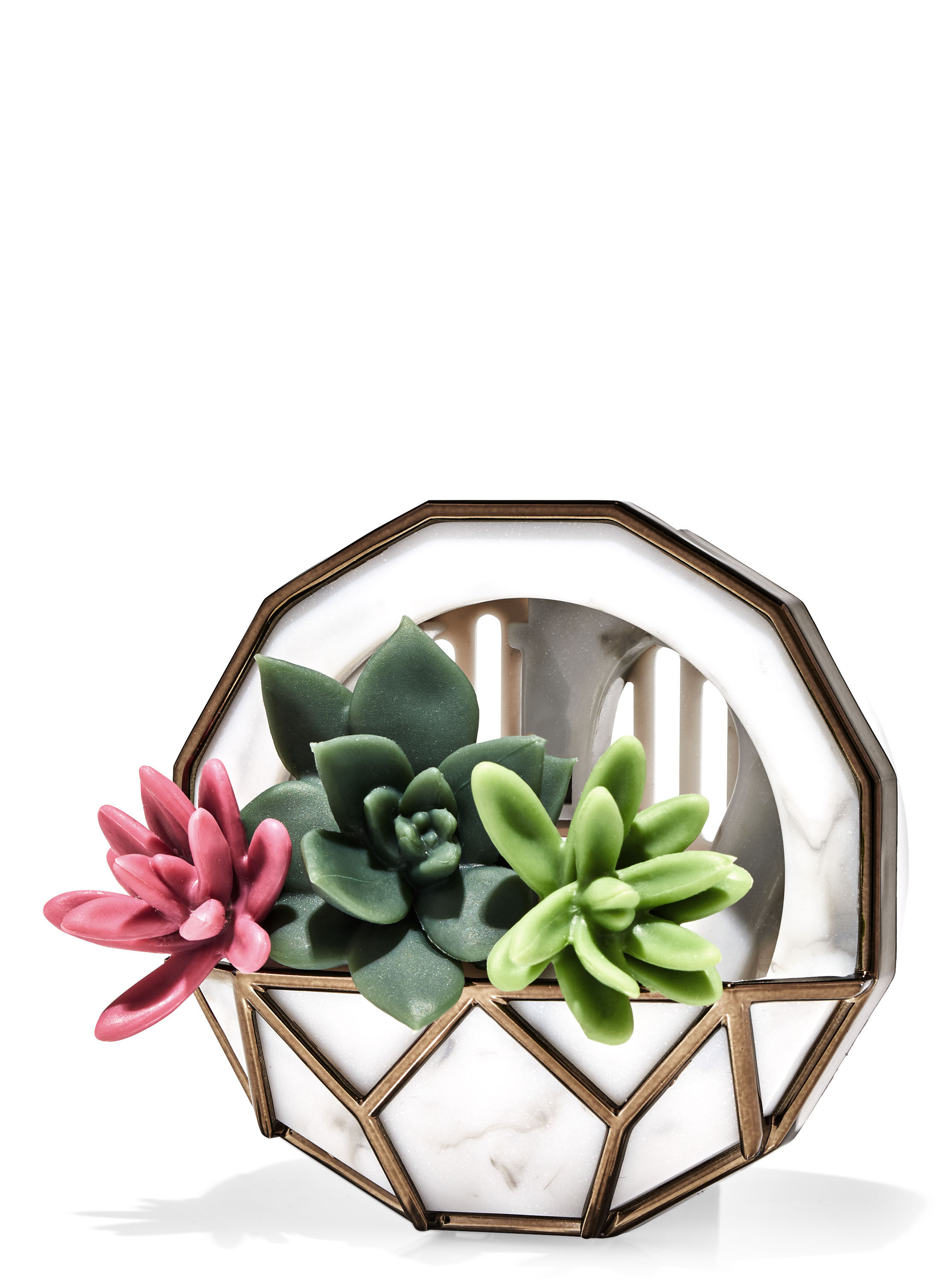Wall Planter