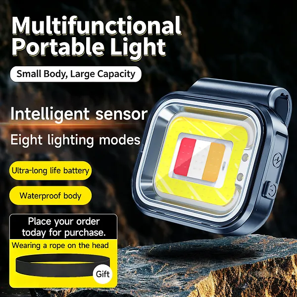 Multifunctional Portable Light