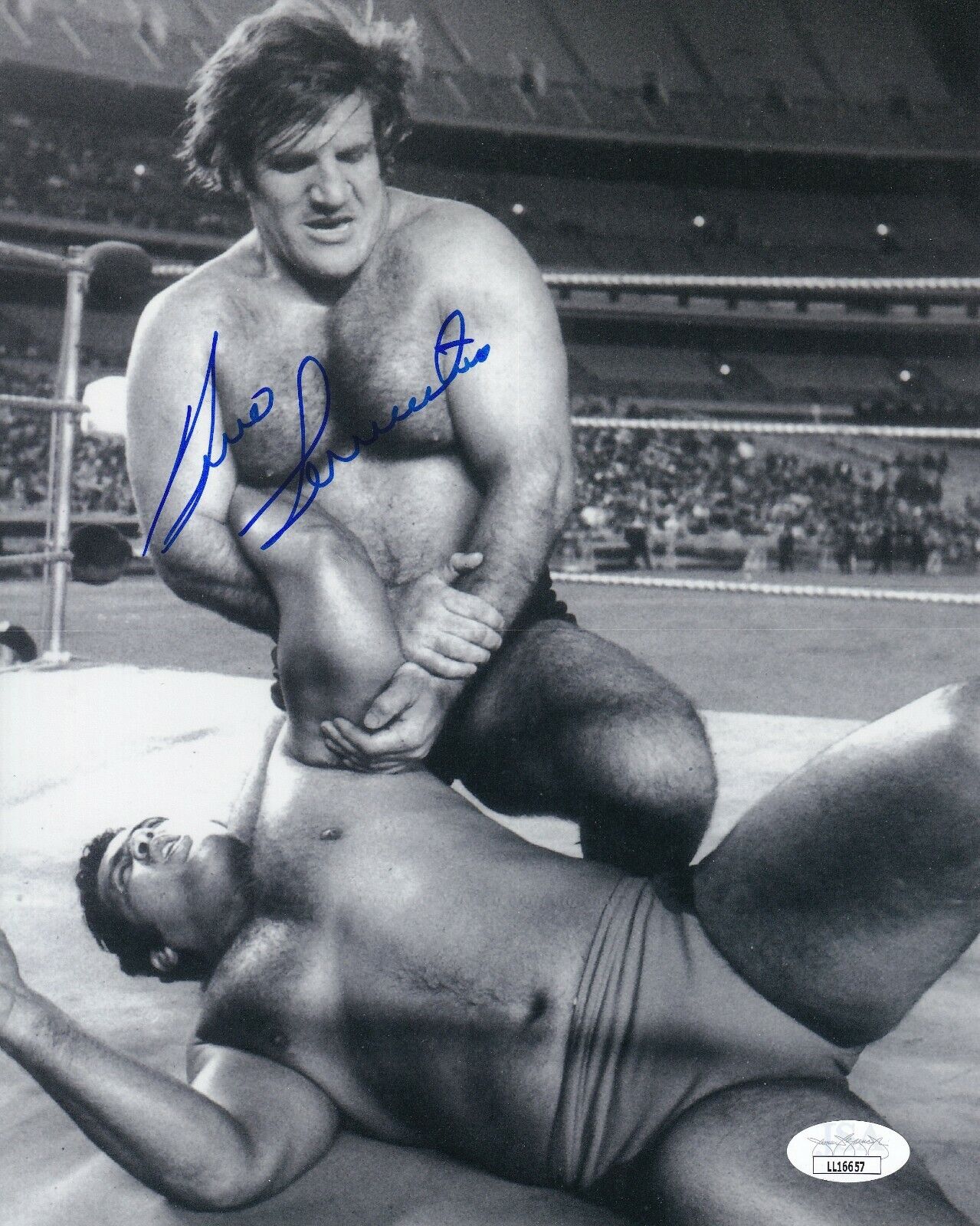 Bruno Sammartino d.2018 Signed Autographed Auto 8x10 Photo Poster painting WWWF WWF HOF JSA COA