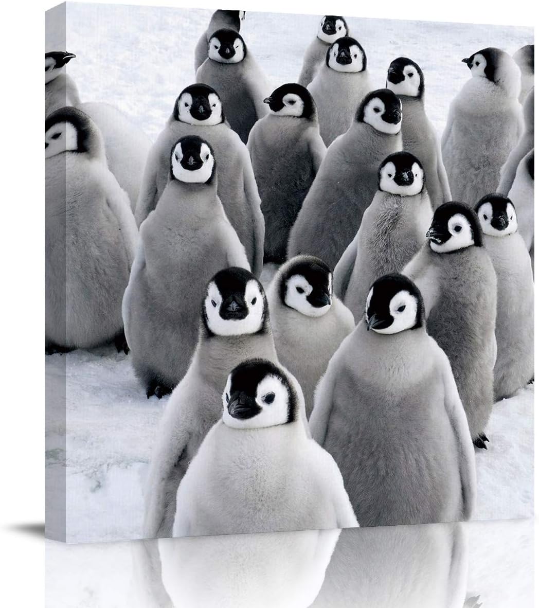 Print Canvas Wall Art for Living Room Bedroom Bathroom, Cute Penguin Group Canvas Picture Framed Wall Art, Gallery Wrap Poster Art for Home Decor 20 inch x20 inch  20&#034;x20&#034;