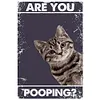 Short-Tailed Cat - Vintage Metal Signs(8*12Inch) - Cat