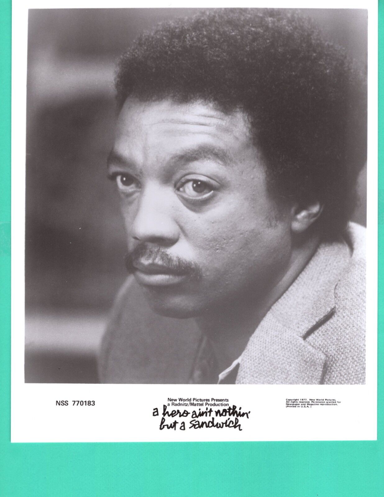 PAUL WINFIELD 1978 Movie Promo Photo Poster painting 8x10 A Hero Ain't Nothing But A Sandwich