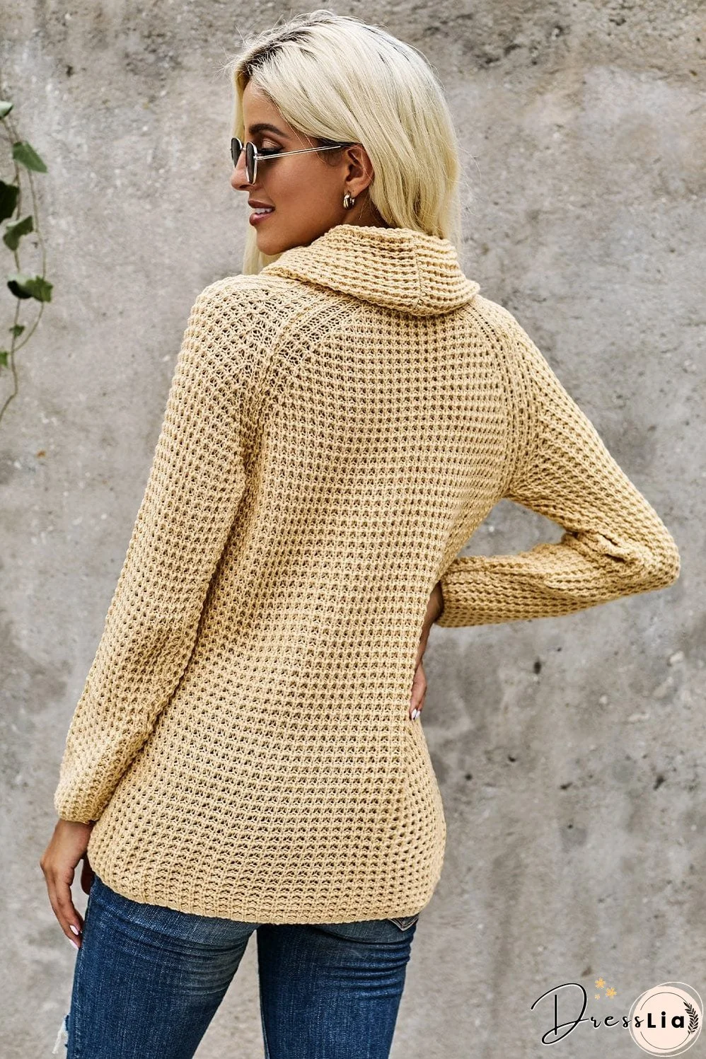 Knitted Turtleneck Pullover Sweater