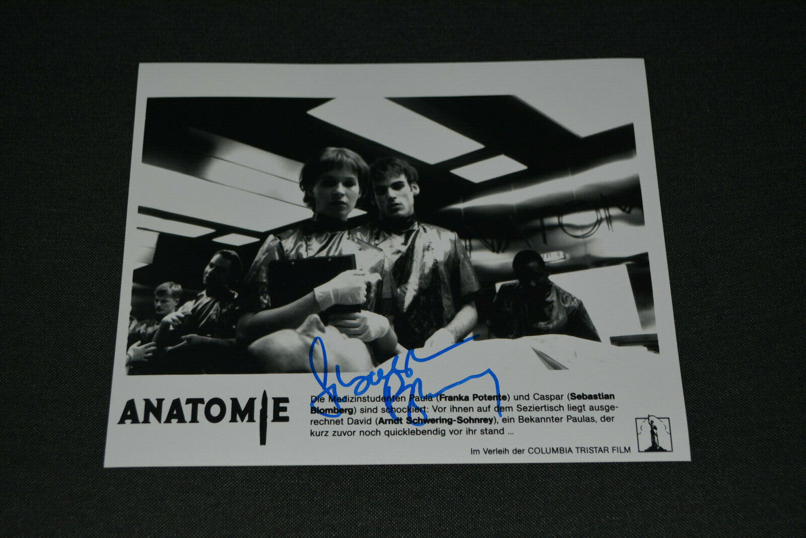 SEBASTIAN BLOMBERG signed autograph In Person 8x10 20x25 cm ANATOMY