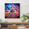 250th Anniversary of USA-Full Round Diamond Painting(40x40cm)