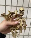 1/6 scale (approximately 12 inches) movable human skeleton model