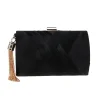 Silk Tasseled Square  Banquet Handbag