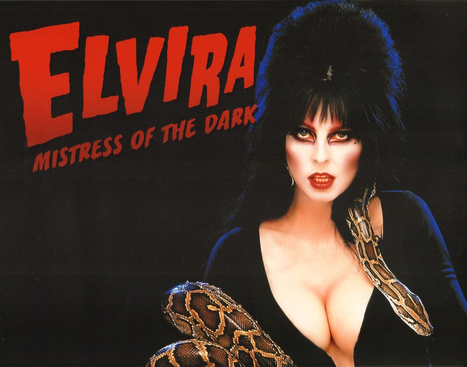 Elvira Mistress of the Dark 11x14 Photo Poster painting Cassandra Peterson Horror Picture Snake