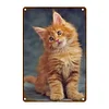 Maine Coon - Vintage Metal Signs(12*16Inch) - Cat
