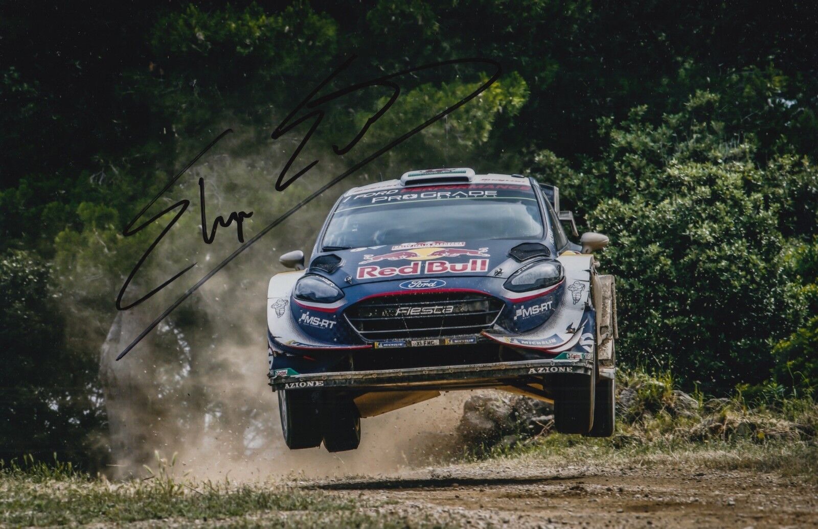 Elfyn Evans Hand Signed 12x8 Photo Poster painting M-Sport Ford Fiesta 2018 Rally 7.