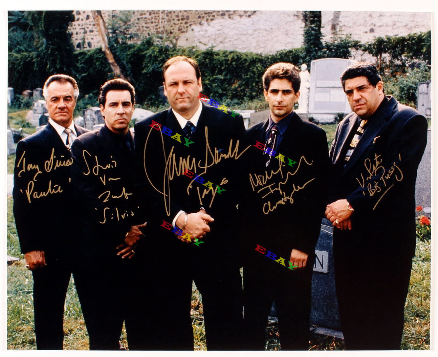 The Sopranos cast Autographed Signed 8x10 Photo Poster painting Reprint