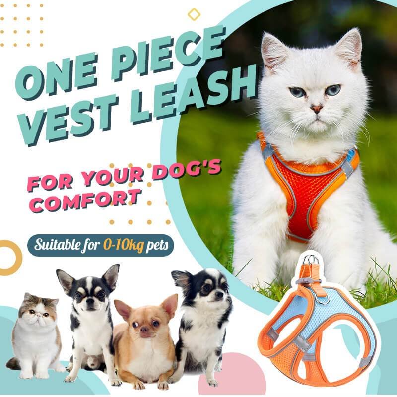 🔥Buy 2 Free Shipping🔥One Piece Vest Leash