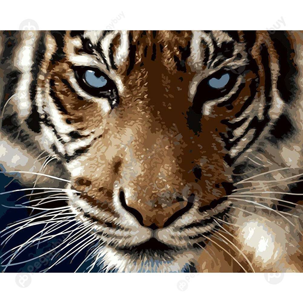

40*30CM Paint By Numbers-Fierce Tiger Face, 501 Original