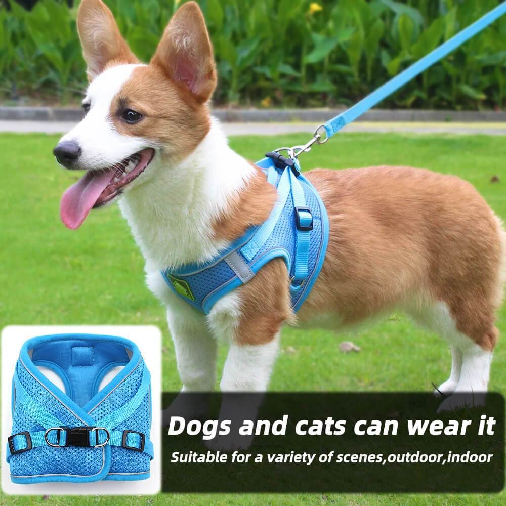 Escape Proof Pets Vest Harness and Leash Set