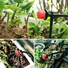 500Pcs 1/4 Inch Adjustable Drip Irrigation Emitters for Balcony Yard Greenhouse