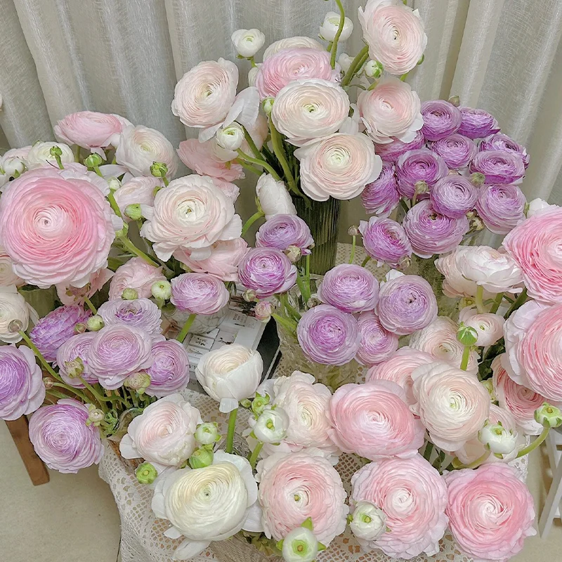 🌺 Ranunculus - Sacred Love