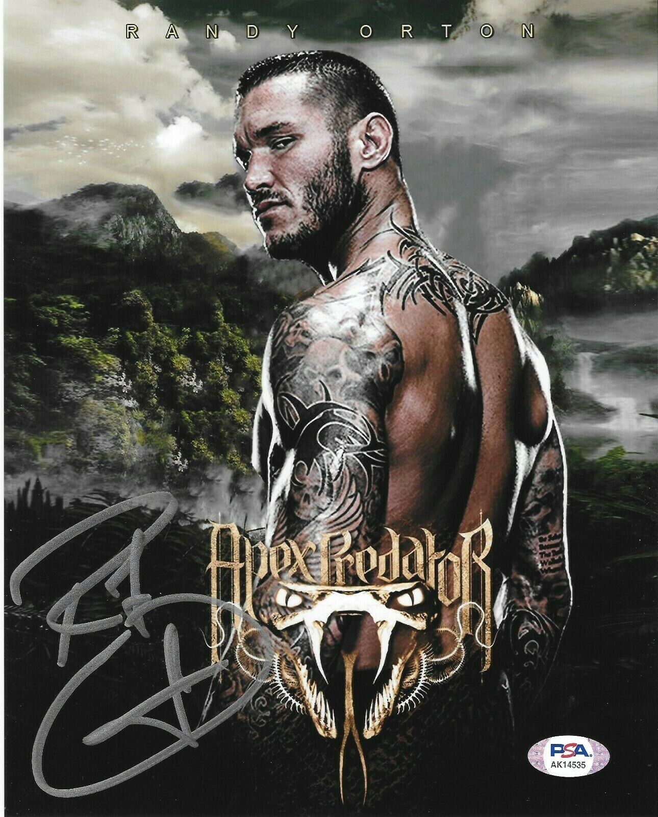 Randy Orton WWE Signed Autograph 8x10 Photo Poster painting #6 w/ PSA COA