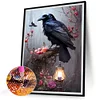 Diamond Painting-Square AB Drill Crow(45*35CM)