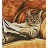 (US Only)Cat Stamped Cross Stitch Kit for Beginner Home DIY 14CT Embroidery Kit 44x50cm