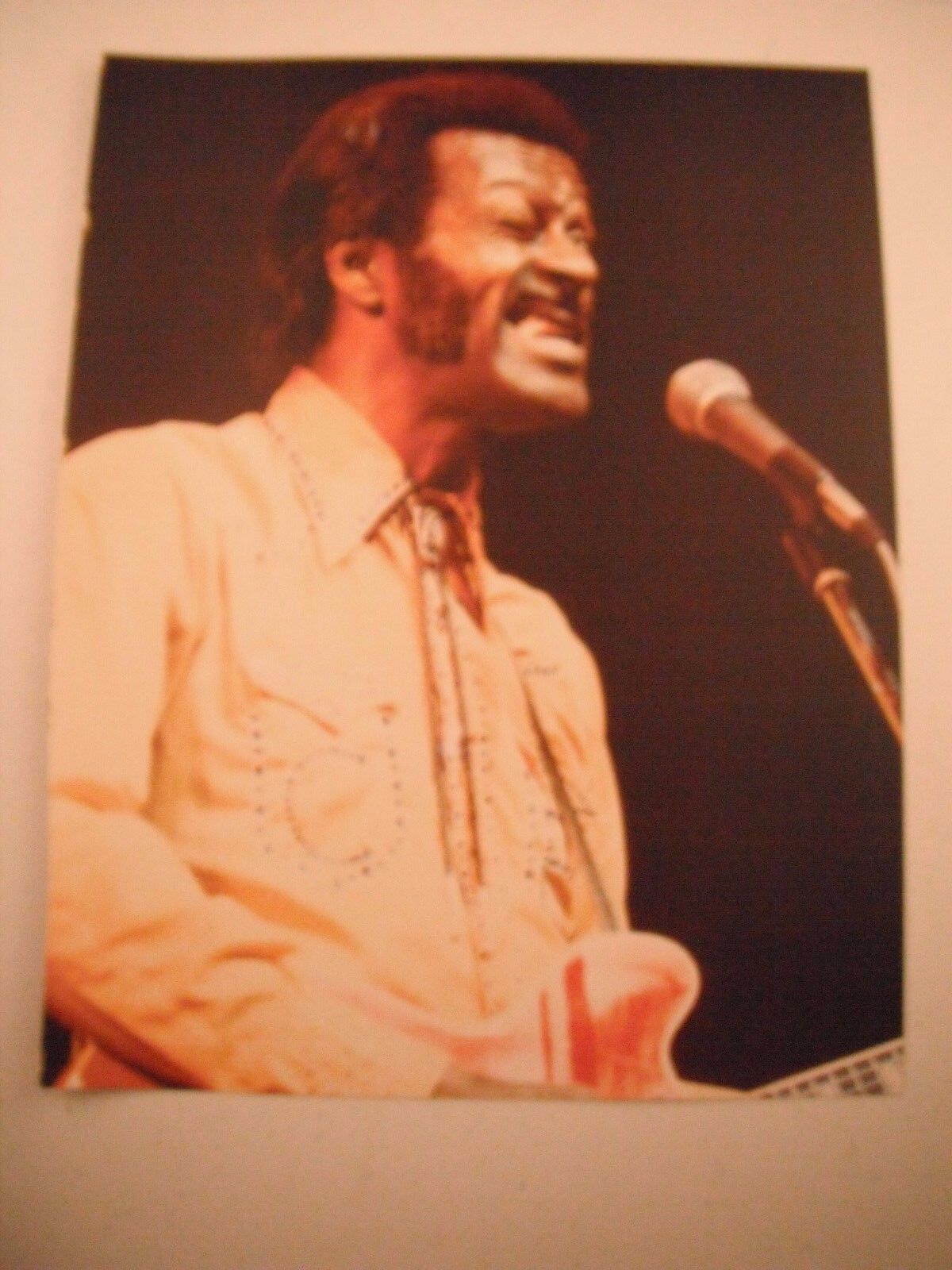 Chuck Berry Guitarist 12x9 Color Coffee Table Book Photo Poster painting Page